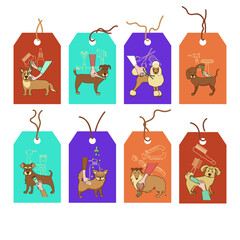 Collection of dog grooming labels (brushing, cutting hair or trimming, eye care, ear cleaning, nail trimming, dental care, bathing). Cute tag for pets.