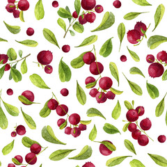 Seamless Pattern with Cranberry. Hand drawn watercolor background with red berries and green leaves. Fruits of lingonberry for wrapping paper or textile design