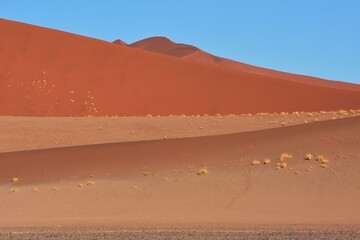 Fototapeta na wymiar Dünen im Morgenlicht auf dem Weg ins Sossusvlei (im Namib-Naukluft-Park in Namibia)