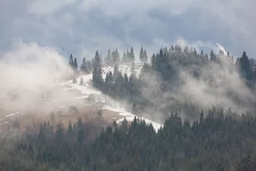 Fototapete Wald im Nebel Winterszene in Karpaten, Ukraine.