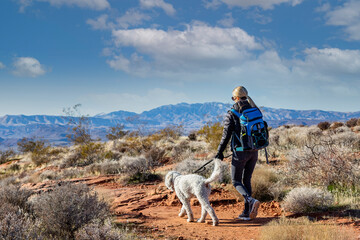 Woman hiking with her dog in the rocky Mountains. View from behind lots of scenic natural copy...