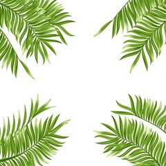 Naklejka na ściany i meble Tropical palm leaf isolated on white background. Realistic green summer plant. Vector illustration