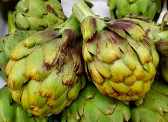 Obraz premium Macro view of fresh pair of globe artichoke vegetables. Cynara cardunculus edible perennial thistle species. Antioxidant super food rich in folate, Vitamin K, magnesium, sodium and phosphorous. 