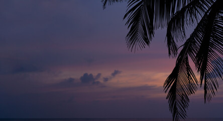 Fototapeta na wymiar Palm trees outline at dusk in the Maldives