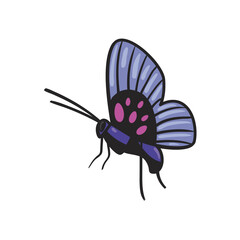 flat purple butterfly design