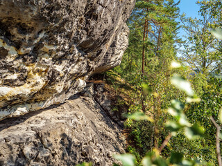 Großer Lorenzstein in der Sächsischen Schweiz - Zwischen Wald und Felswand