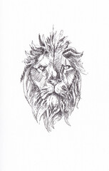 Lion. Pen and ink drawing