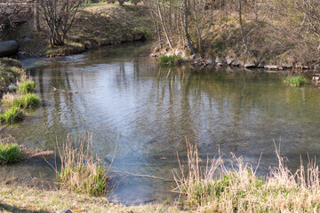 Obraz premium Little river in a natural scenery in Vaduz in Liechtenstein