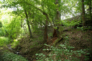 Spalter Hügelland / Spalter Hills /