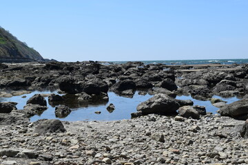 奇岩怪石の磯が続く 庄内海岸の岩場