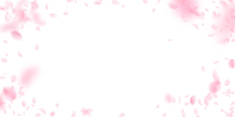 Sakura petals falling down. Romantic pink flowers vignette. Flying petals on white wide background. Love, romance concept. Radiant wedding invitation.