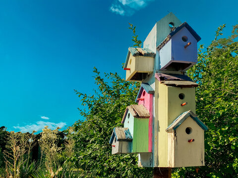 garden bird house colorful houses bird house shelter birds beach seaside backyard