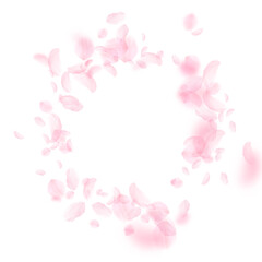 Sakura petals falling down. Romantic pink flowers vignette. Flying petals on white square background. Love, romance concept. Fabulous wedding invitation.