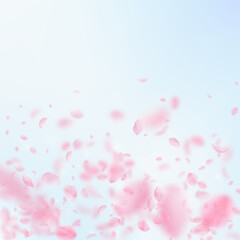 Fototapeta na wymiar Sakura petals falling down. Romantic pink flowers gradient. Flying petals on blue sky square background. Love, romance concept. Precious wedding invitation.