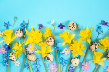 Fototapeta na wymiar daffodils and quail eggs on a blue background. Easter decor and spring flowers