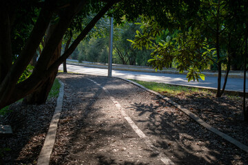 Obraz premium path in the park