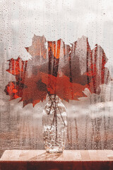 Bouquet of bright maple autumn leaves in glass vase, standing on windowsill, glass window with rain drops