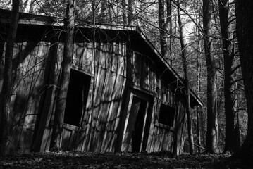 Ominous, old, dilapidated homestead in the woods.