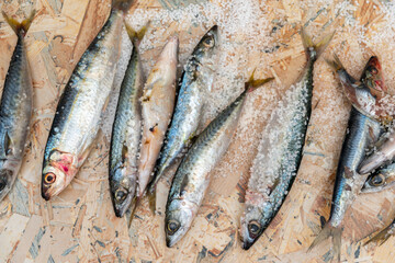 Whole raw organic mackerel fish with sea salt lying on a flat surface