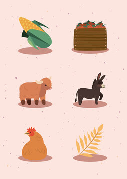 flat local market items