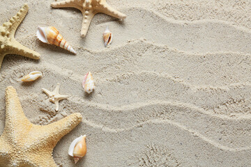 Fototapeta na wymiar Many different sea shells and starfishes on beach sand