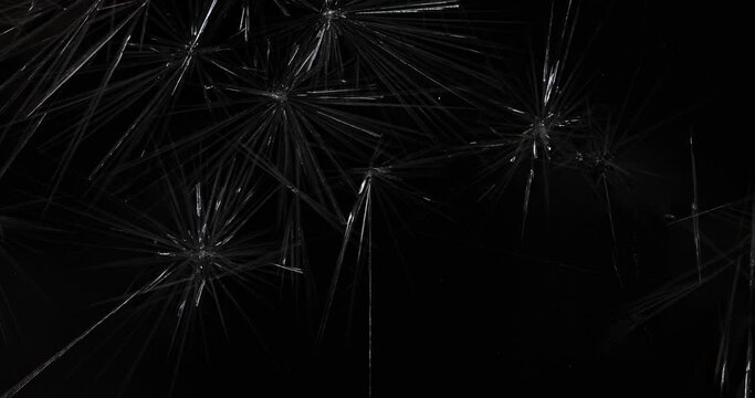 The effect of crystallization of ice crystals on a black background.