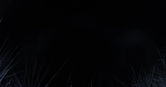 The effect of crystallization of ice crystals on a black background.