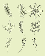 decorative leaves and flowers set