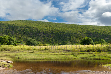 Obraz premium Paisagem com verde com céu azul na Chapada Diamantina