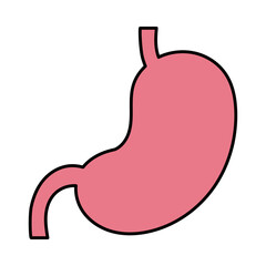 stomach organ icon