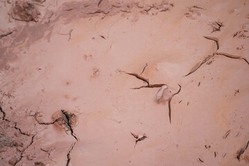 Dry and cracked ground texture.A lifeless land, craquelure
