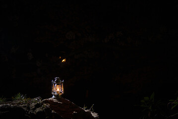 夜桜とオイルランタン