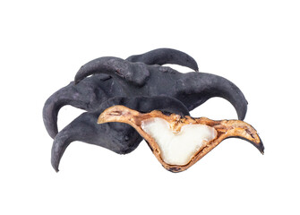 Water caltrop or horn chestnut or water chestnut isolated