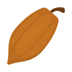 cocoa fruit icon