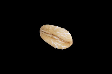 oat seed isolated on black background