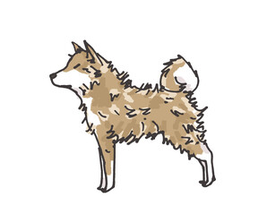 換毛期の犬　全身