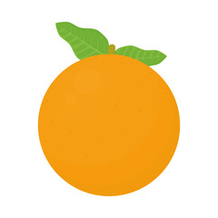 orange fruit icon