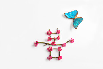 beautiful and pretty spring flower red plum blossom butterfly text to announce spring, 봄을 알리는 아름답고 예쁜 봄꽃 홍매화 나비 텍스트