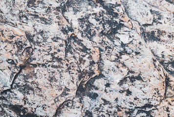 Abstract stone pattern textured in natural light for background and backdrop.