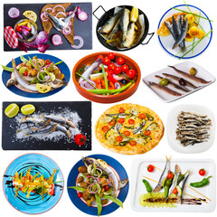 Collage of dishes with different seafood - sprat, hamsa, anchovy, sardines and others. High quality photo