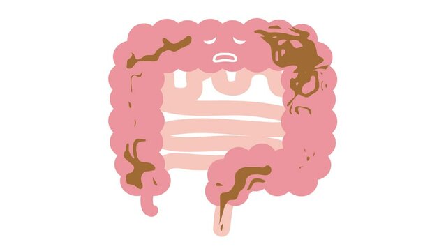 腸（下痢）のアニメーション動画（ループ可）　内臓　消化器