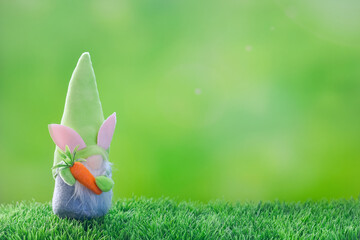  A cute garden gnome in a tall hat with carrot in his hands on the green grass.Spring green blurred background with copy space. 
