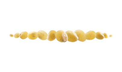 Yellow millet levitates on a white background