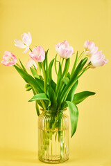 Tulip flowers bouquet in vase on yellow background, Hello spring, Woman and Mother Day concept