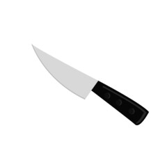 stainless steel paring knife with black plastic handle,