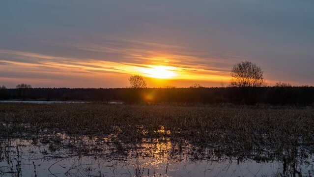 View of swamp at sunset. Time-lapse.