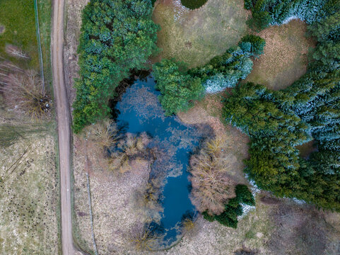 aerial photos of trees, grass, pond
