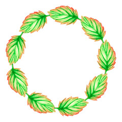 Leaf wreath. Watercolor illustration. Isolated on a white background. For design.