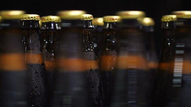 Bottles of beer go through the conveyor