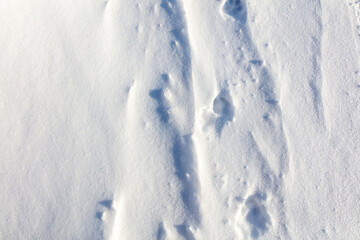 Snowy crust as an abstract background.